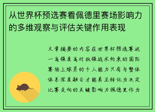 从世界杯预选赛看佩德里赛场影响力的多维观察与评估关键作用表现